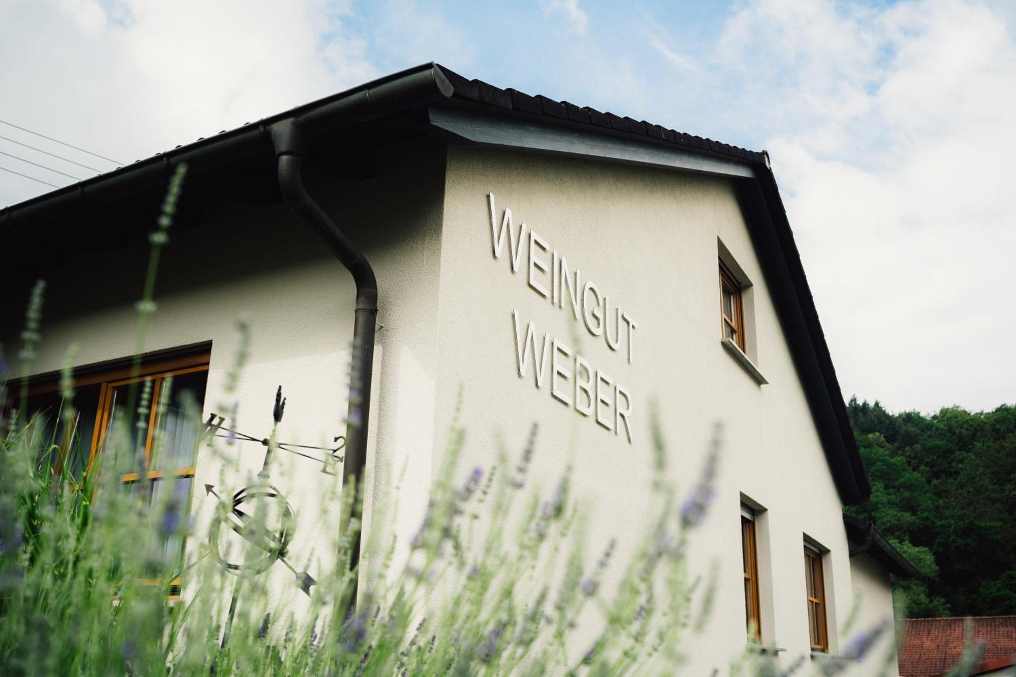 Moderne Ferienwohnung Auf Dem Weingut Monzingen Exterior photo